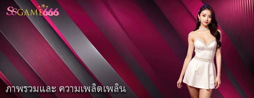 ภาพรวมและ ความเพลิดเพลิน